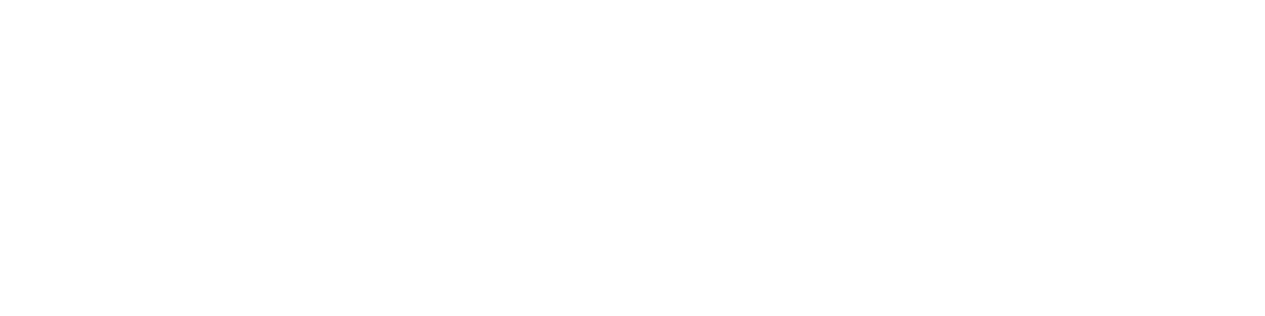 Logo Synter